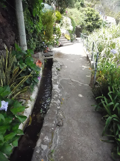 Levada do Pico do Arvoredo — Aktueller Verlauf der Levada da Azenha — Foto 20
