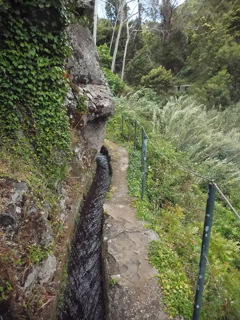 Levada do Pico do Arvoredo — Aktueller Verlauf der Levada da Azenha — Foto 17