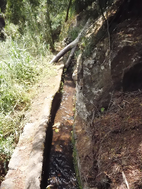 Levada do Pico do Arvoredo — Aktueller Verlauf der Levada da Azenha — Foto 10