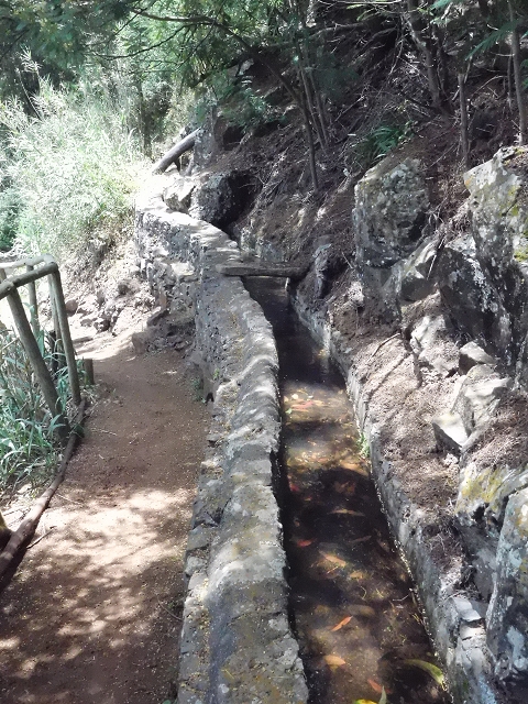 Levada do Pico do Arvoredo — Aktueller Verlauf der Levada da Azenha — Foto 9