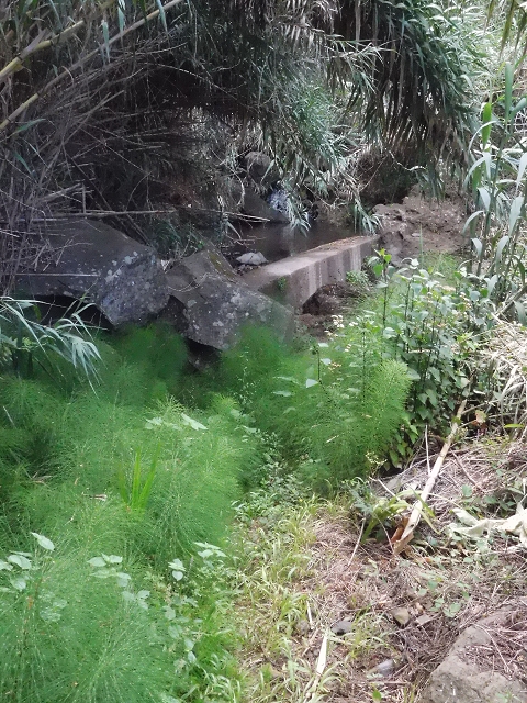 Levada do Pico do Arvoredo — Aktueller Verlauf der Levada da Azenha — Foto 4