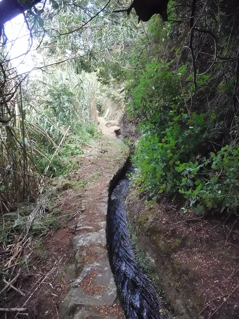 Levada do Pico do Arvoredo — Aktueller Verlauf der Levada da Azenha — Foto 6