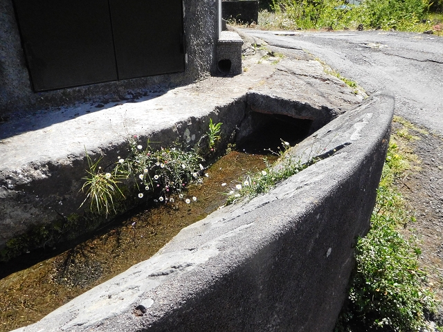 Levada do Pico do Arvoredo — Zum Ende von Abschnitt 1 — Foto 13