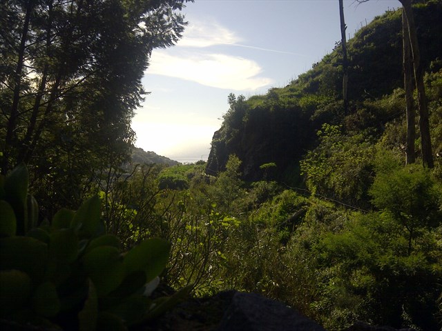 Levada do Pico do Arvoredo — Aktueller Verlauf der Levada da Azenha — Foto 22