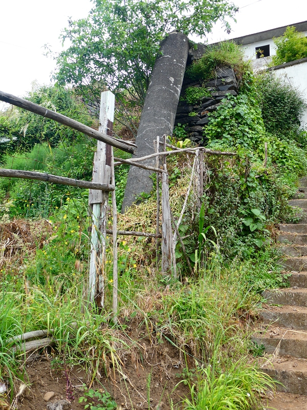 Levada do Pico do Arvoredo — Zum Ende von Abschnitt 1 — Foto 11