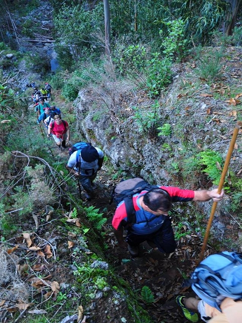 Levada do Pico do Cardo — Bilder der Amigostour (2016) — Foto 1