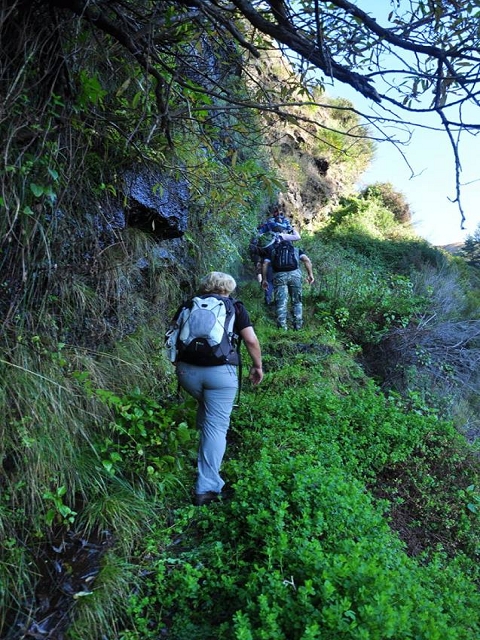 Levada do Pico do Cardo — Bilder der Amigostour (2016) — Foto 10