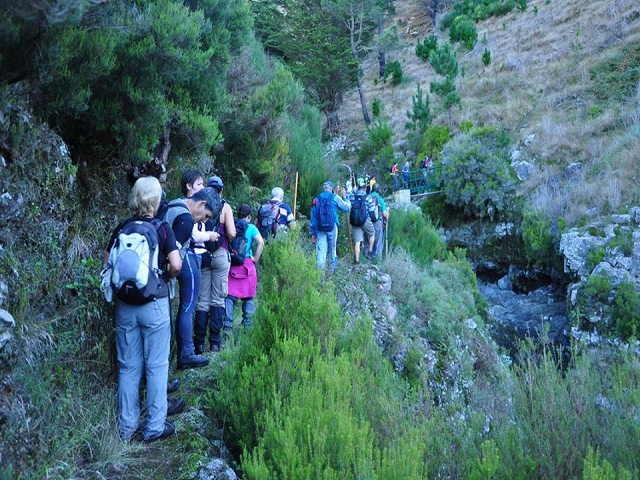 Levada do Pico do Cardo — Bilder der Amigostour (2016) — Foto 12