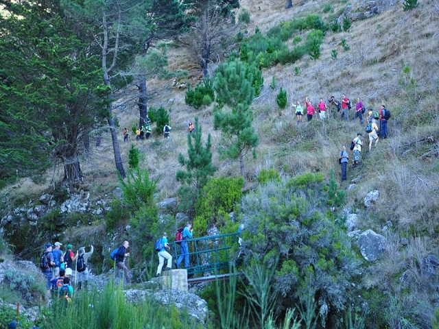 Levada do Pico do Cardo — Bilder der Amigostour (2016) — Foto 13