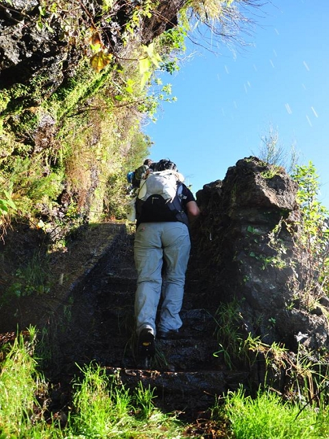 Levada do Pico do Cardo — Bilder der Amigostour (2016) — Foto 2