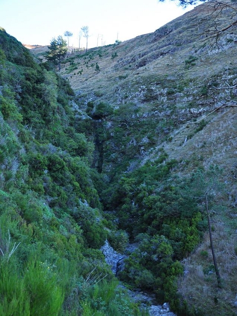 Levada do Pico do Cardo — Bilder der Amigostour (2016) — Foto 3