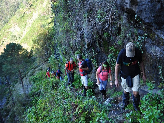 Levada do Pico do Cardo — Bilder der Amigostour (2016) — Foto 5
