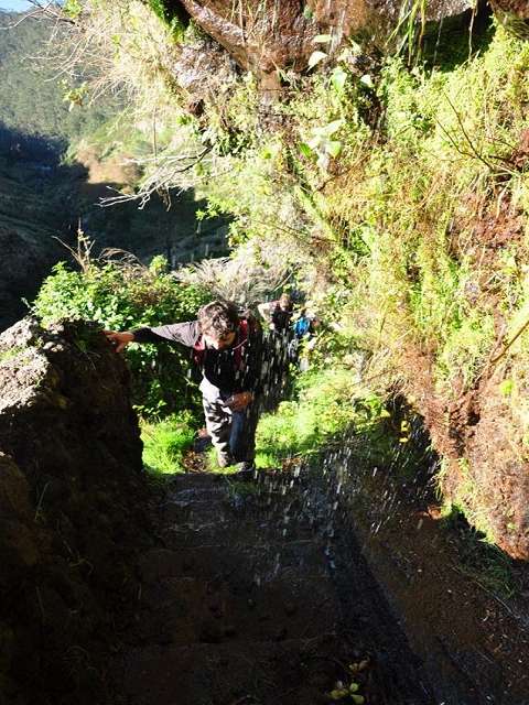 Levada do Pico do Cardo — Bilder der Amigostour (2016) — Foto 6