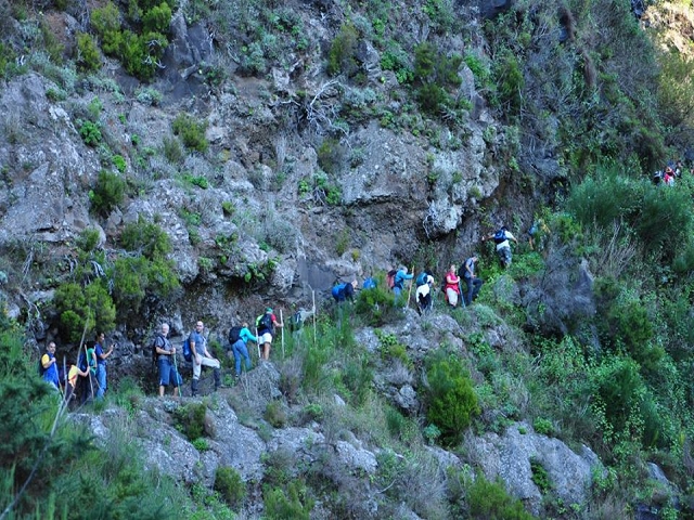 Levada do Pico do Cardo — Bilder der Amigostour (2016) — Foto 7