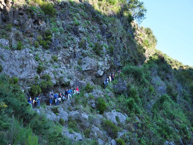 Levada do Pico do Cardo — Bilder der Amigostour (2016) — Foto 8