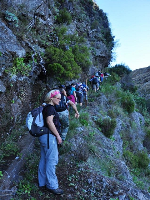 Levada do Pico do Cardo — Bilder der Amigostour (2016) — Foto 9
