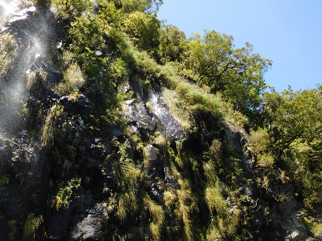 Levada do Plaino Velho — Abschnitt 1 — Foto 10