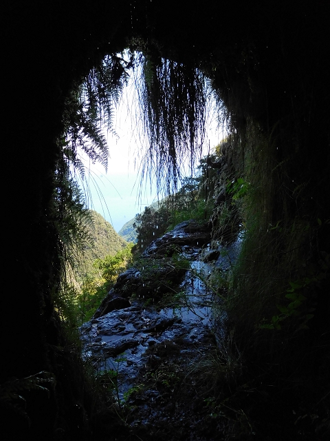 Levada do Plaino Velho — Abschnitt 1 — Foto 14