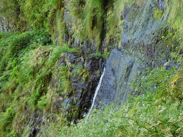 Levada do Plaino Velho — Abschnitt 1 — Foto 17