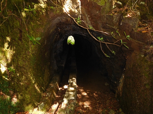 Levada do Plaino Velho — Abschnitt 1 — Foto 2