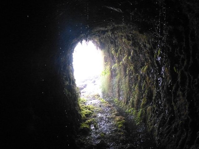 Levada do Plaino Velho — Abschnitt 1 — Foto 9