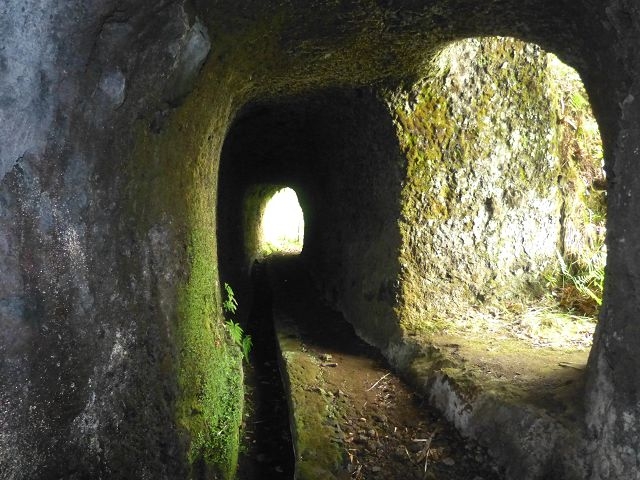 Levada do Plaino Velho — Abschnitt 1 — Foto 11