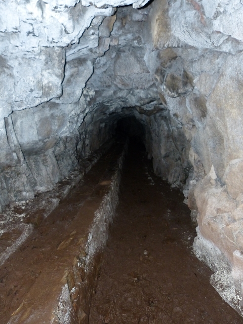 Levada do Plaino Velho — Abschnitt 1 — Foto 14