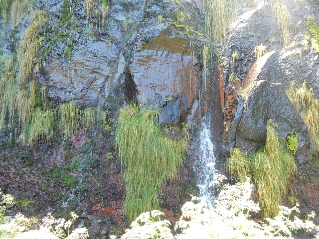 Levada do Plaino Velho — Abschnitt 1 — Foto 4