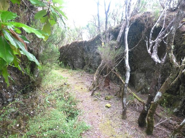 Levada do Plaino Velho — Abschnitt 1 — Foto 9
