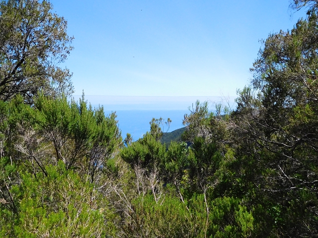 Levada do Plaino Velho — Abschnitt 1 — Foto 3