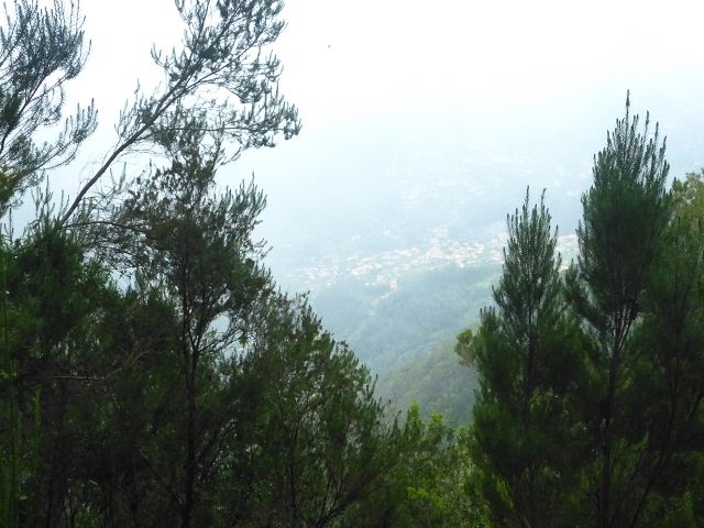 Levada do Plaino Velho — Abschnitt 1 — Foto 8
