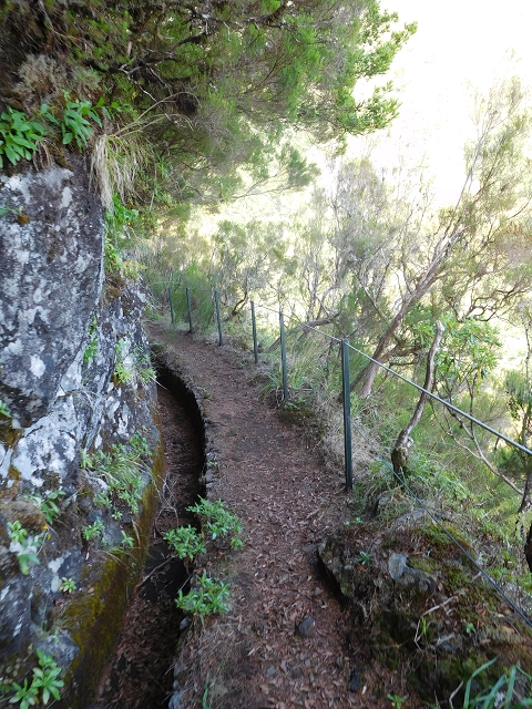 Levada do Plaino Velho — Abschnitt 2 — Foto 2