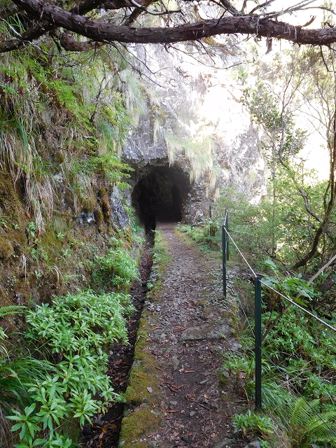 Levada do Plaino Velho — Abschnitt 2 — Foto 3