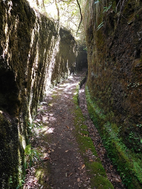 Levada do Plaino Velho — Abschnitt 2 — Foto 4