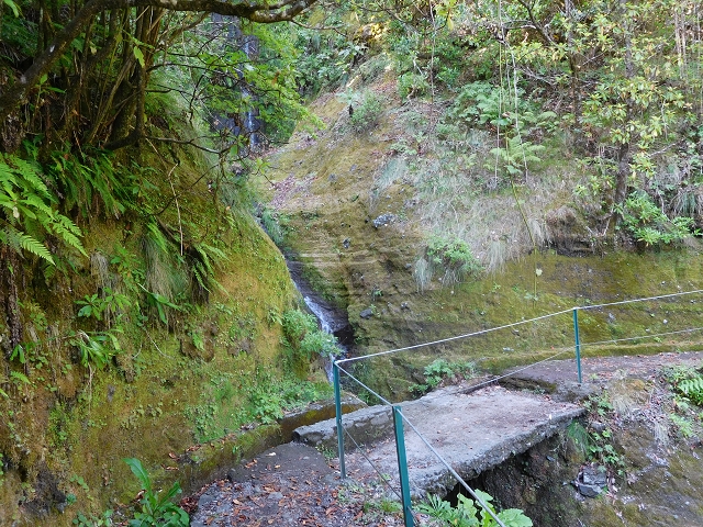 Levada do Plaino Velho — Abschnitt 2 — Foto 5
