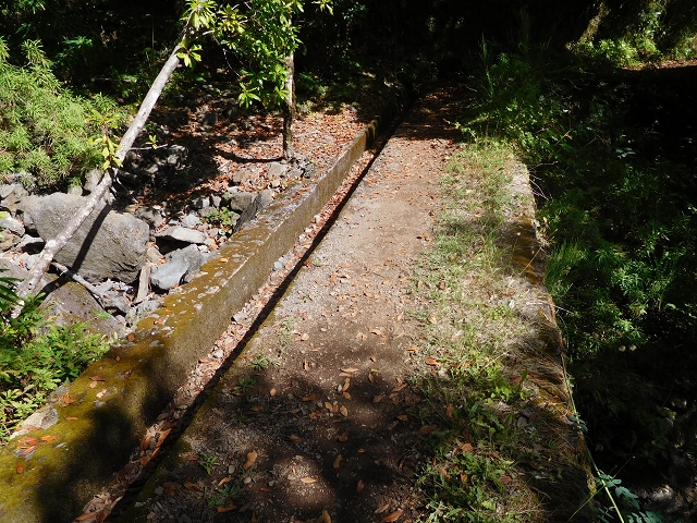 Levada do Plaino Velho — Abschnitt 2 — Foto 9