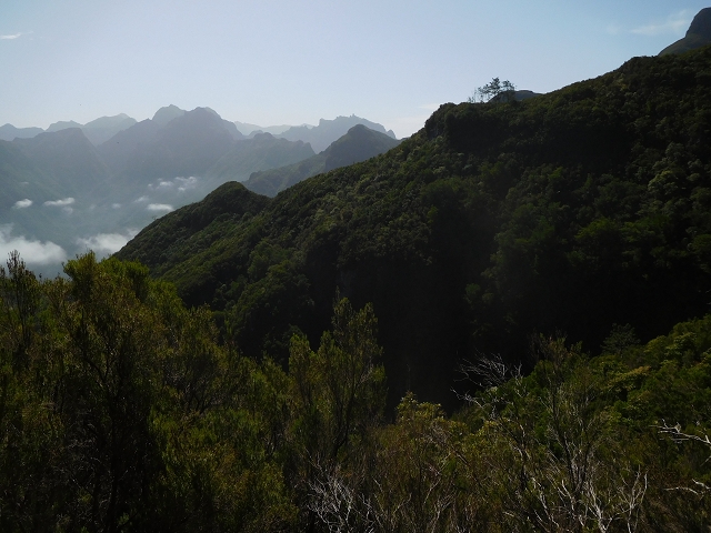 Levada do Plaino Velho — Abschnitt 2 — Foto 13