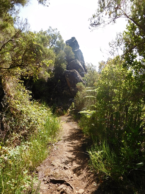 Levada do Plaino Velho — Abschnitt 2 — Foto 15