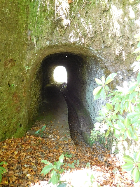 Levada do Plaino Velho — Abschnitt 2 — Foto 17