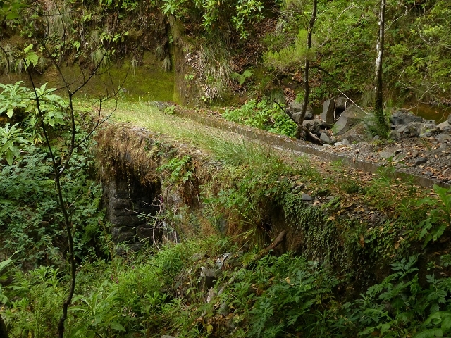 Levada do Plaino Velho — Abschnitt 2 — Foto 23