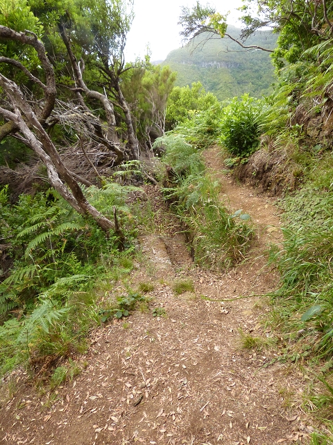 Levada do Plaino Velho — Abschnitt 3 — Foto 1