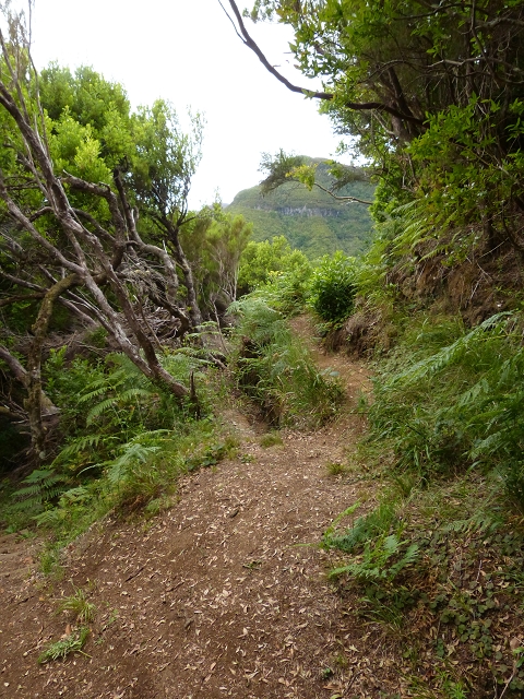 Levada do Plaino Velho — Abschnitt 3 — Foto 3