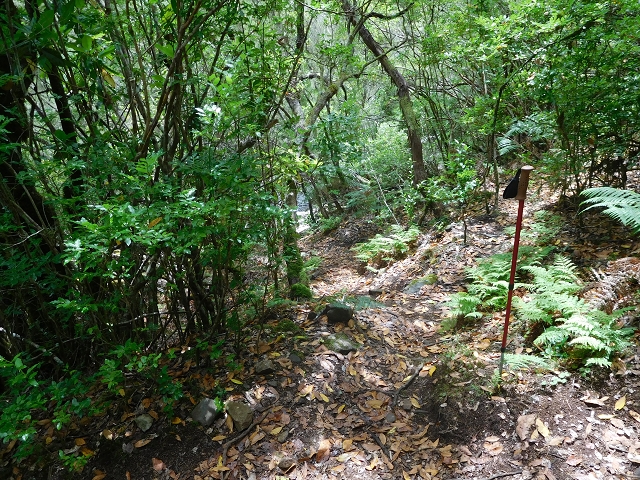 Levada do Poco do Bezerro — Levada 1 — photo 1