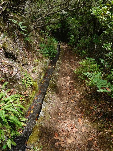 Levada do Poco do Bezerro — Levada 1 — photo 10