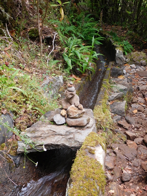 Levada do Poco do Bezerro — Levada 1 — photo 11