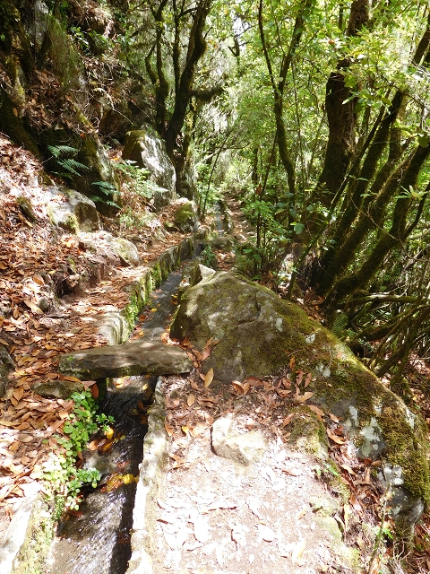 Levada do Poco do Bezerro — Levada 1 — photo 12