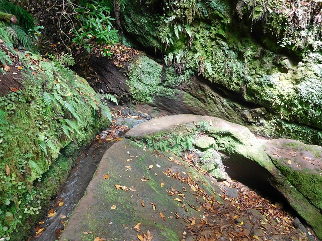 Levada do Poco do Bezerro — Levada 1 — photo 13