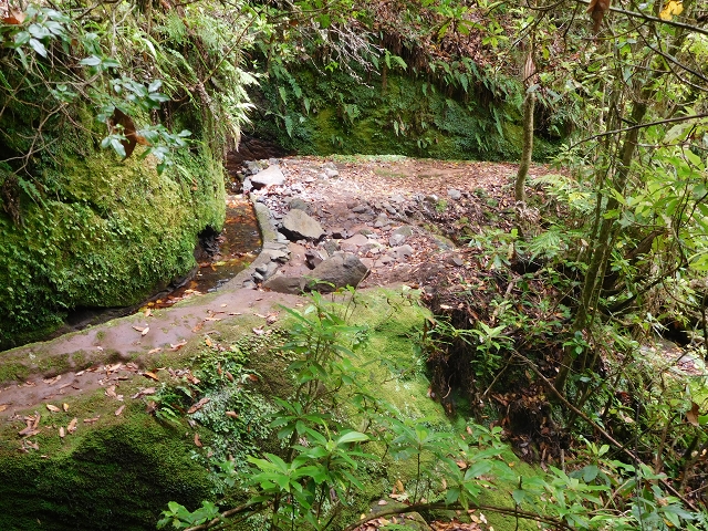 Levada do Poco do Bezerro — Levada 1 — photo 14