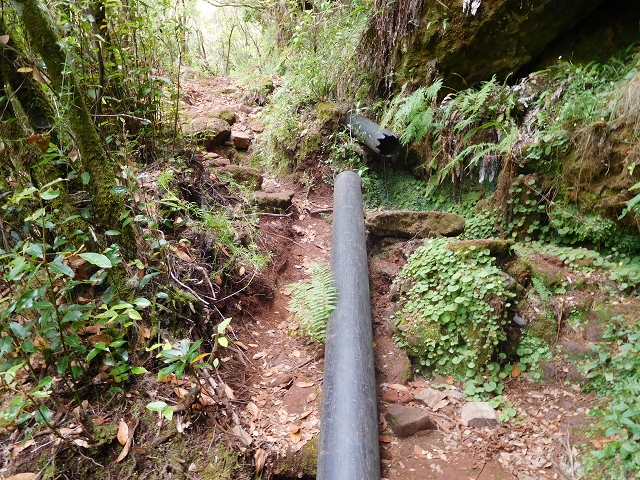 Levada do Poco do Bezerro — Levada 1 — photo 16