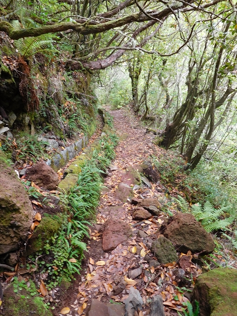 Levada do Poco do Bezerro — Levada 1 — photo 17